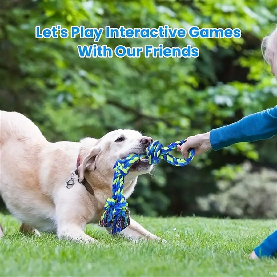 CareHaven rope knot dog toy for tug and fetch, featuring a durable woven design ideal for active dogs.