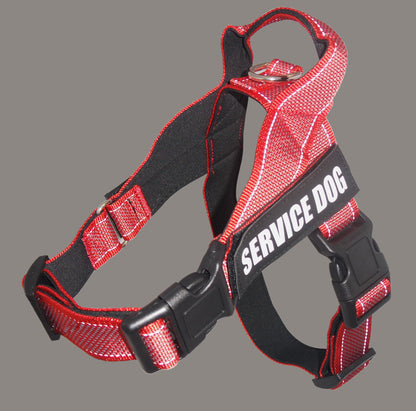 CareHaven adjustable dog harness for comfortable everyday walks, featuring secure fit and soft padding.