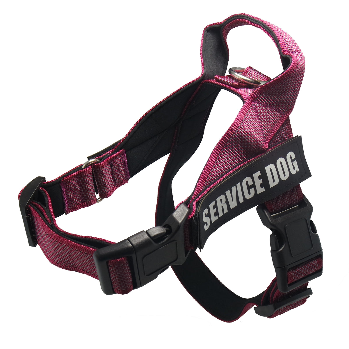 Adjustable CareHaven dog harness in black, featuring padded straps for comfortable everyday walking and secure fit.