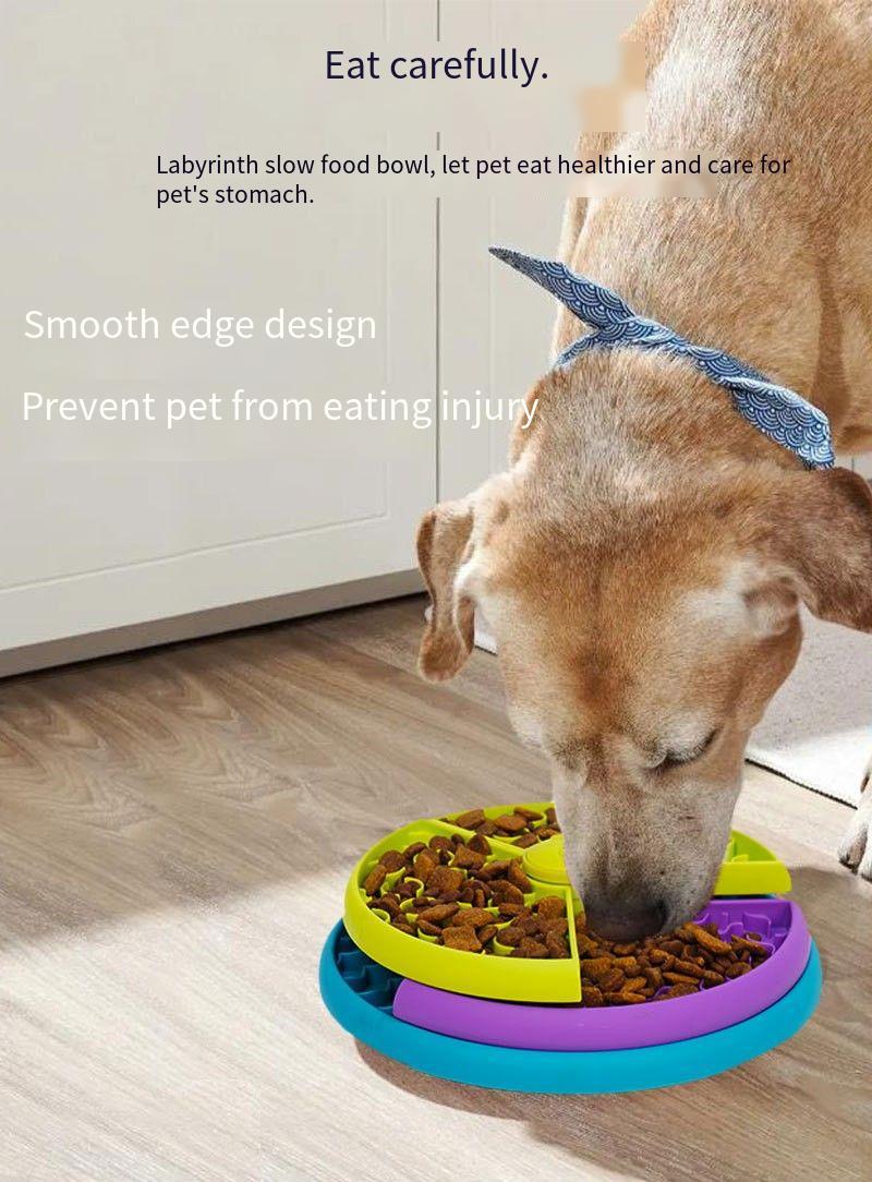 CareHaven slow feeder puzzle bowl for dogs and cats, with interactive design to slow eating and promote mental stimulation.