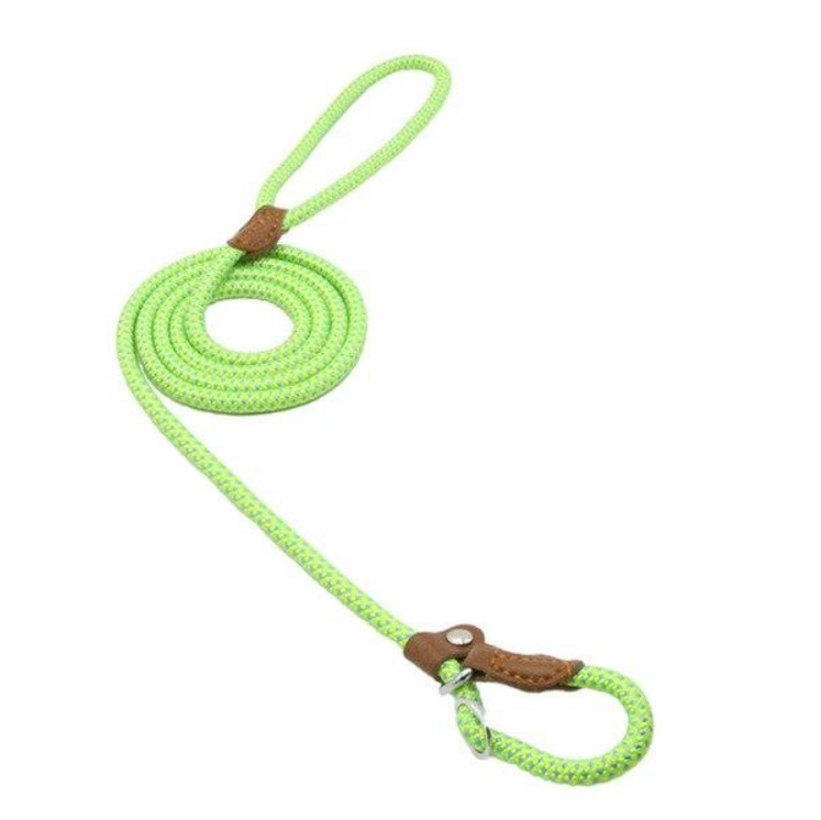 Nylon Pup Set featuring a durable nylon leash and collar for small dogs, designed for comfort and control.