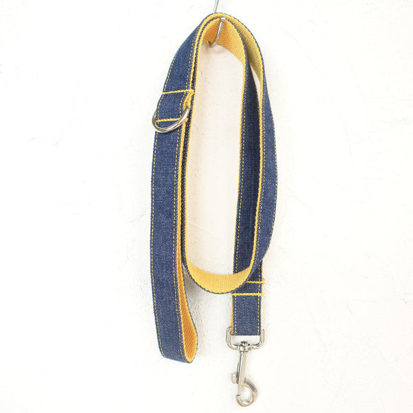 Personalized DIY pet leash by CareHaven, featuring custom engraving and durable nylon material for small or large dogs.