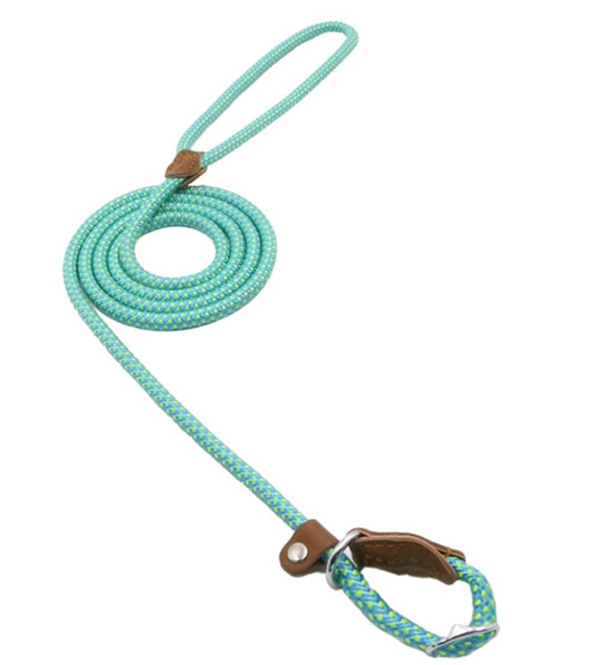 Nylon Pup Set for dogs with adjustable collar and leash, durable pet accessories in vibrant colors.