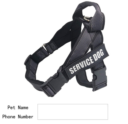 CareHaven adjustable dog harness for comfortable everyday walks, featuring a secure fit and durable materials.