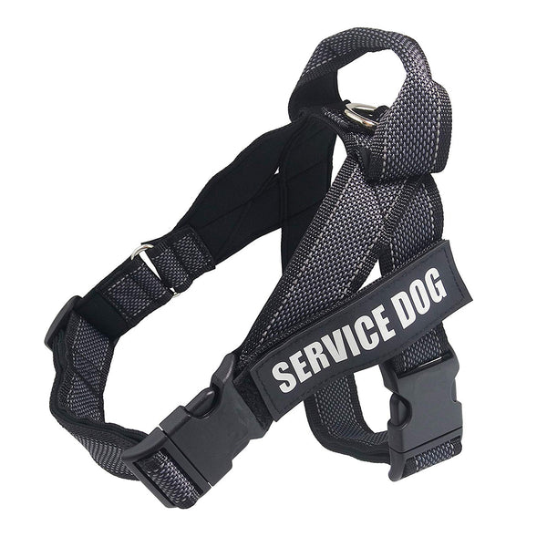 Personalized CareHaven pet harness with adjustable straps and custom embroidery for small to medium dogs.
