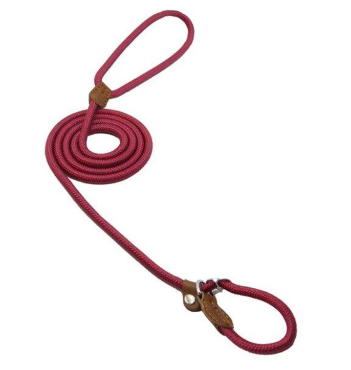 Nylon Pup Set with adjustable collar and leash for small dogs, featuring colorful patterns and durable material.