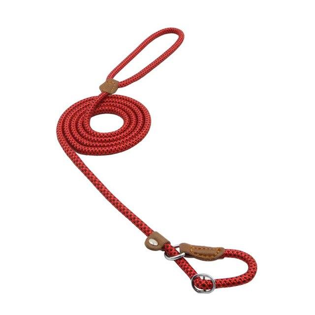 Nylon pup set with leash and collar from Petcartsupply.store, featuring durable nylon material and adjustable fittings for dogs.