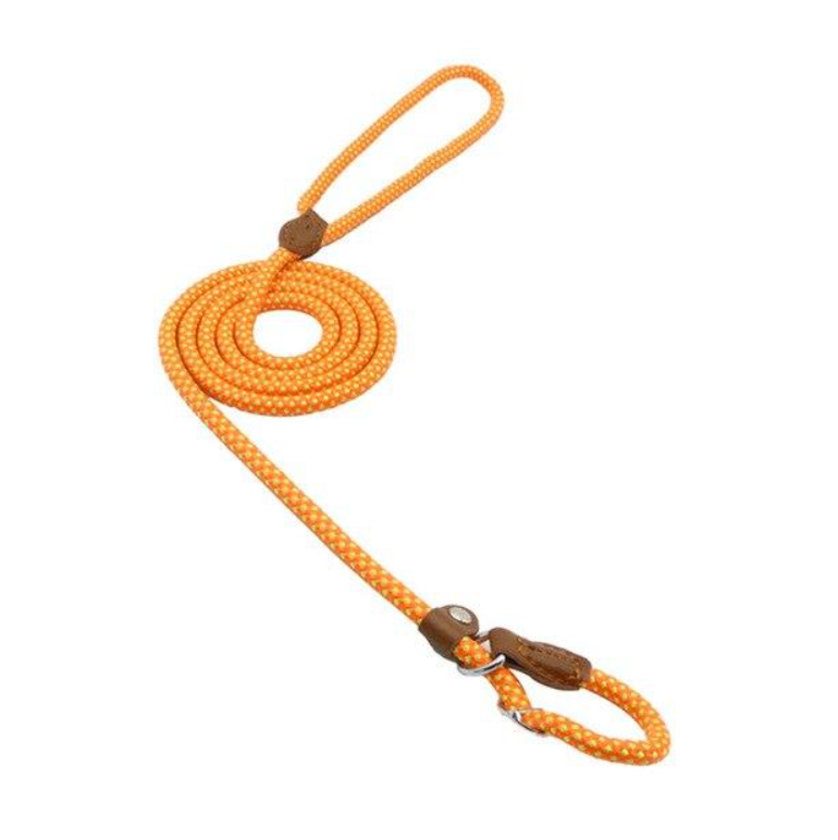 Nylon Pup Set from Petcartsupply.store showing a durable nylon harness and leash for small dogs or puppies.