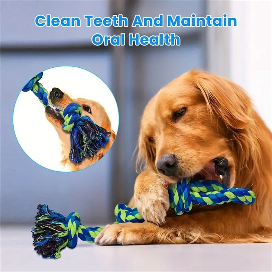 CareHaven rope knot dog toy for tug and fetch, featuring durable braided cotton design perfect for playful dogs.