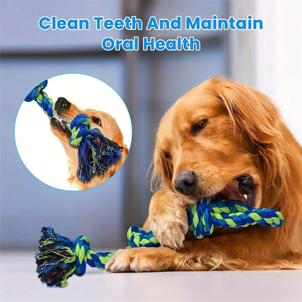 CareHaven heavy-duty rope knot dog toy for large breeds, ideal for dental health, chewing, and interactive tug-of-war play.