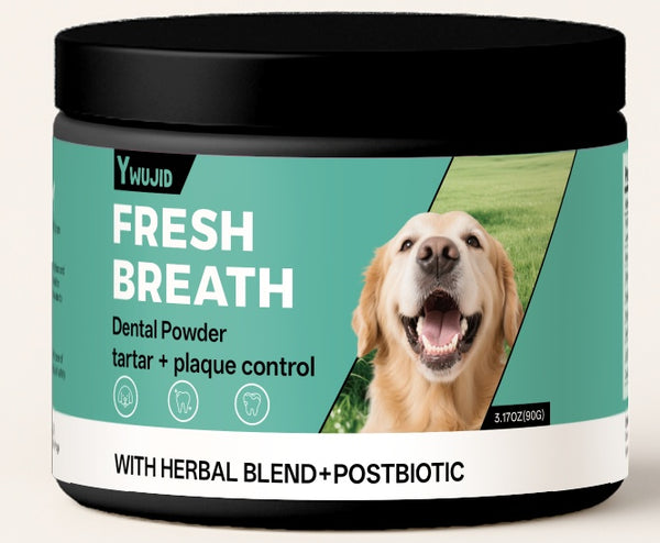 CareHaven Pet Dental Powder for dogs and cats, showing the white powder in a small container with a scoop, designed for oral health.