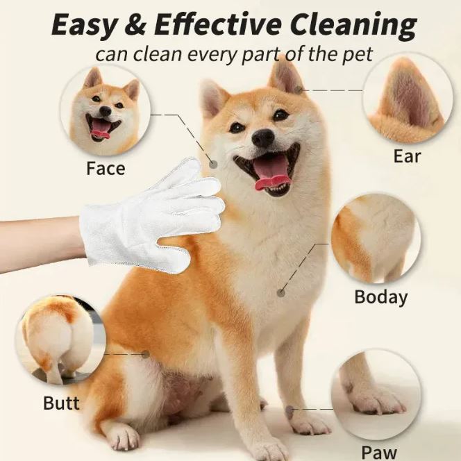 Pet cleaning gloves and wipes from Petcartsupply.store, showing soft gloves and cleaning wipes for pet grooming and hygiene.