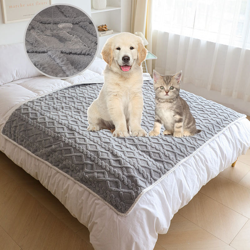 Soft plush CareHaven pet blanket for dogs and cats, cozy throw with a plush texture perfect for comfort and warmth.