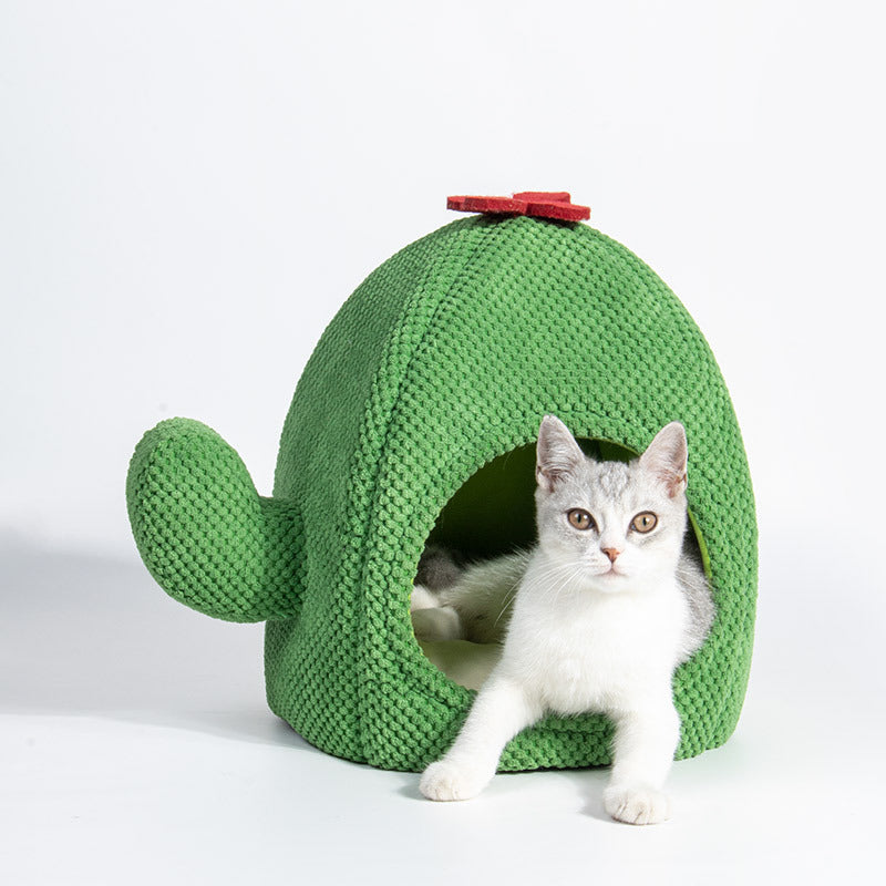 CareHaven Cozy Cactus Cat Bed enclosed cave bed for cats and small dogs, soft fabric with cactus design, ideal for cozy comfort