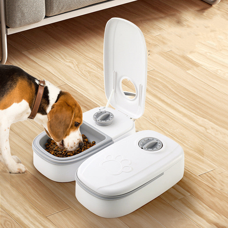 CareHaven automatic pet feeder and water dispenser for dogs and cats, with food and water bowls in a modern design.